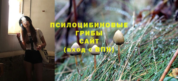 не бодяженный Аркадак
