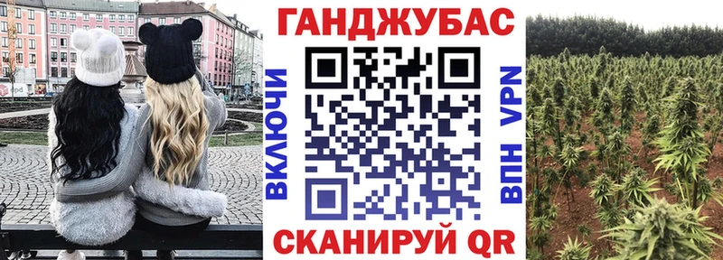 Купить закладки  Анжеро-Судженск  Конопля сатива 